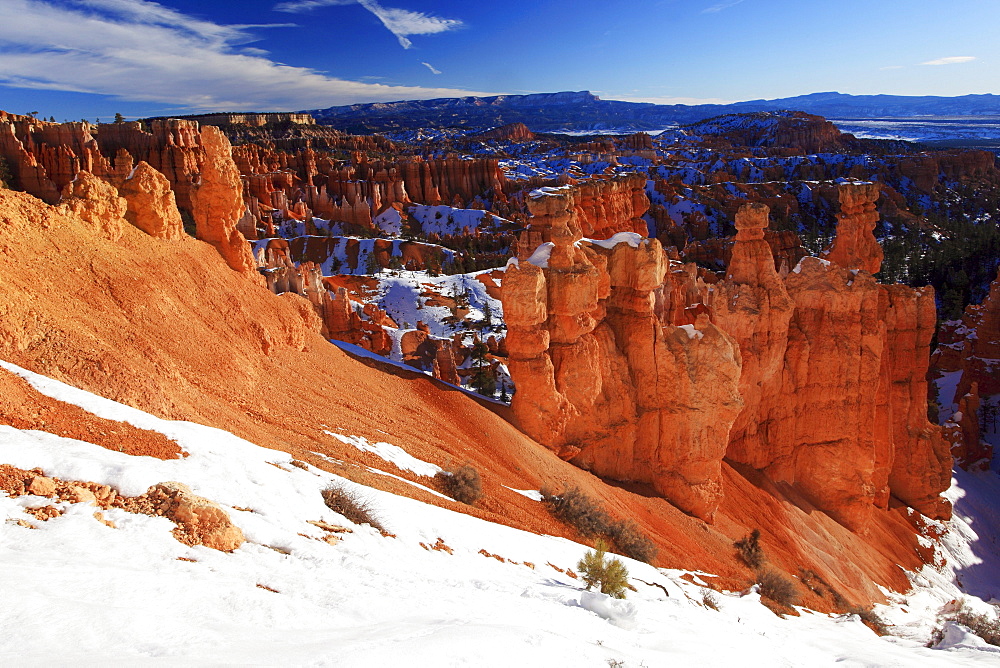 Bryce canyon in winter, view from sunset point, hoodoos at surise, bryce canyon national park, paunsaugunt plateau, utah, usa