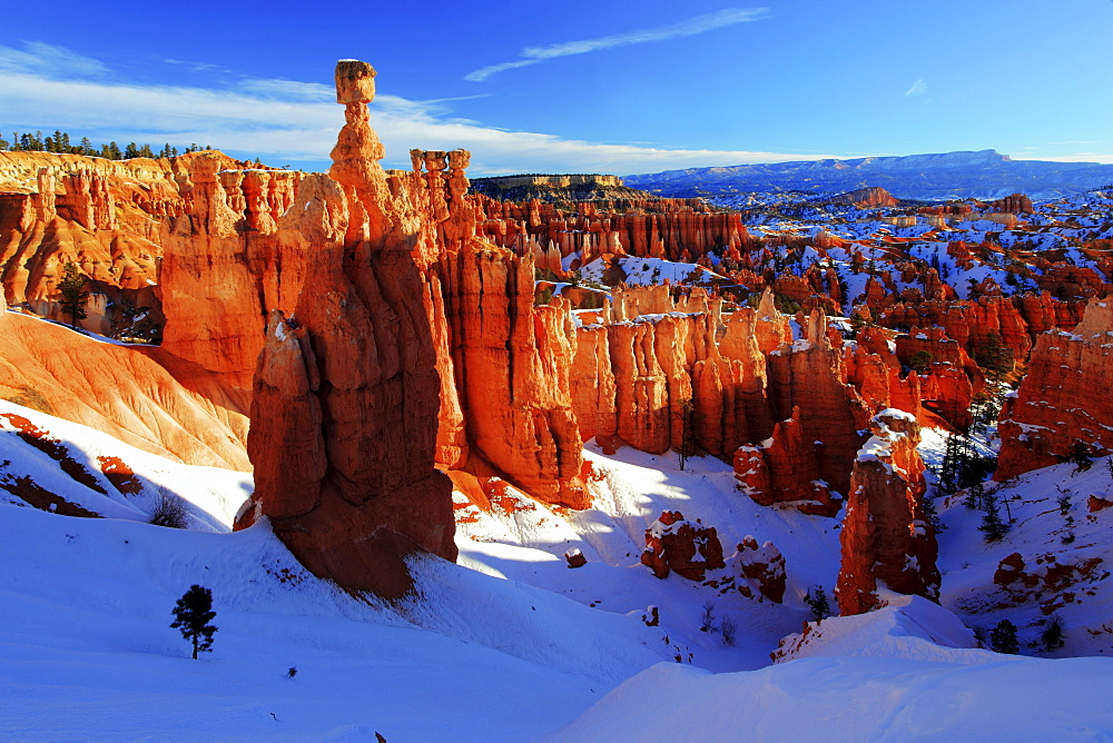 Bryce canyon in winter, view from sunset point, hoodoos at surise, bryce canyon national park, paunsaugunt plateau, utah, usa