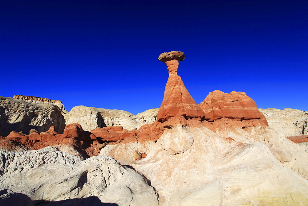 Toadstool hoodoo, formed by water and wind, grand staircase escalante national monument, utah, usa