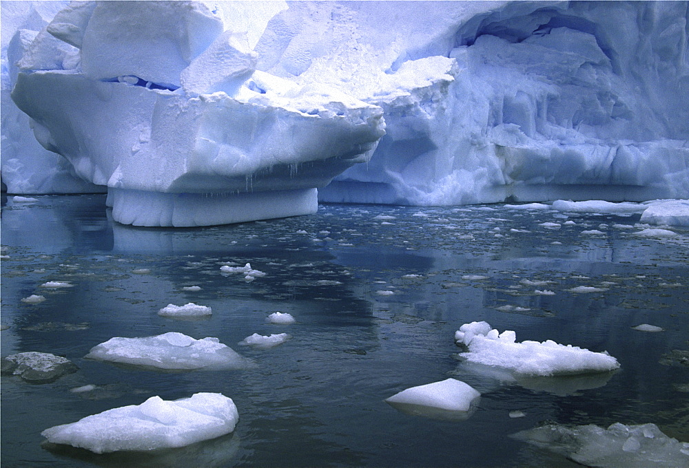 Icebergs, antarctica. Paradise bay