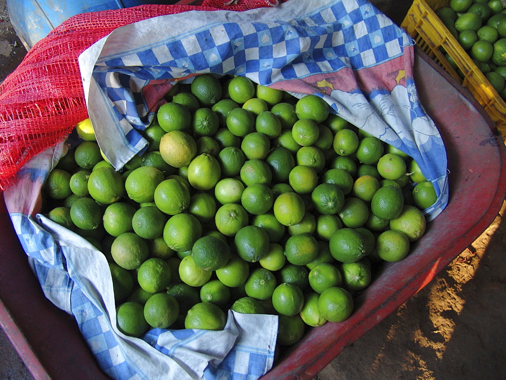 El salvador a basket of fresh limes, san francsisco javier