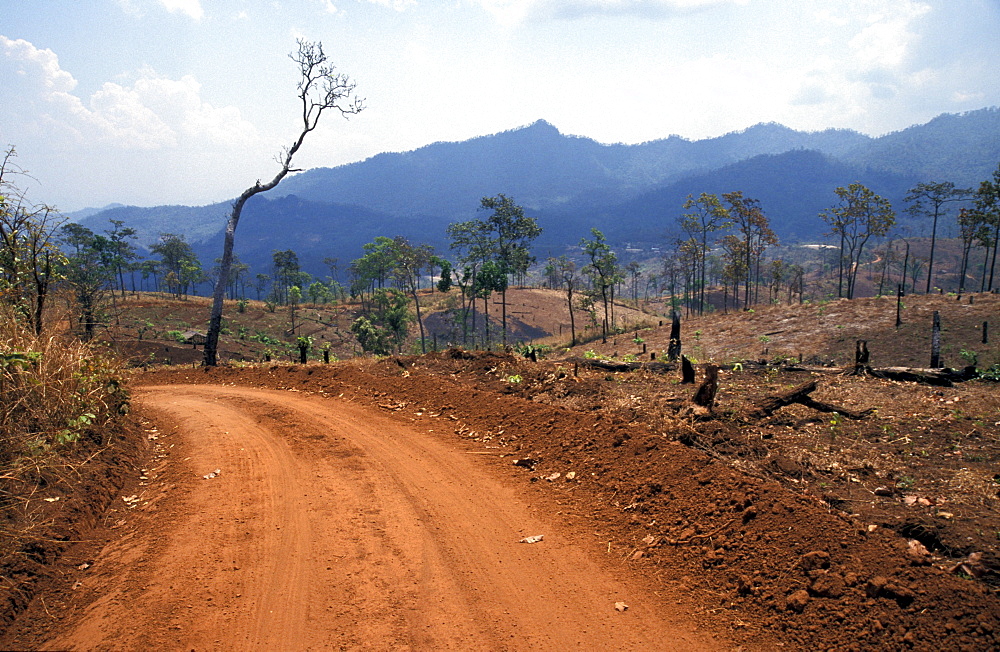 Thailand road to lahu tribal village, nasiri, near chiang mai