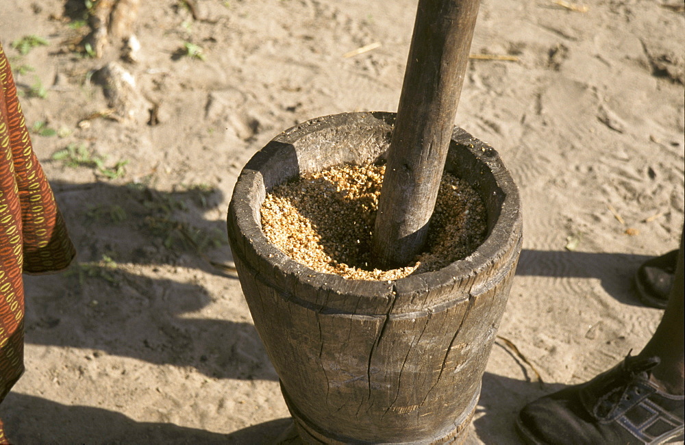 Zambia kaunga mashi village, shangombo district (near the angolan border). Pounding grain