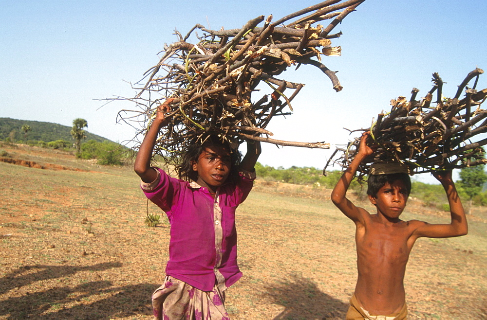 India - environment: children carrying firewood. Mattappatty village, tamil nadu