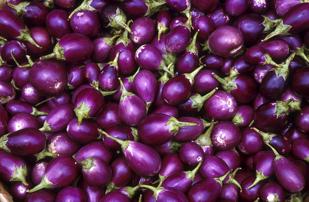 India - food: eggplants on sale, trivandrum vegetable market, kerala