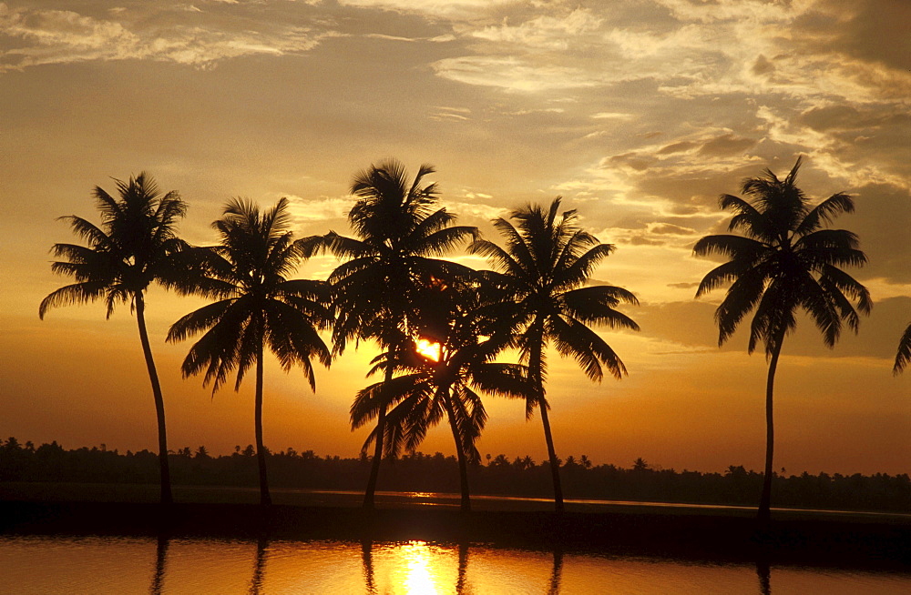 India - landscape: sunset over the inland waterways of kerala