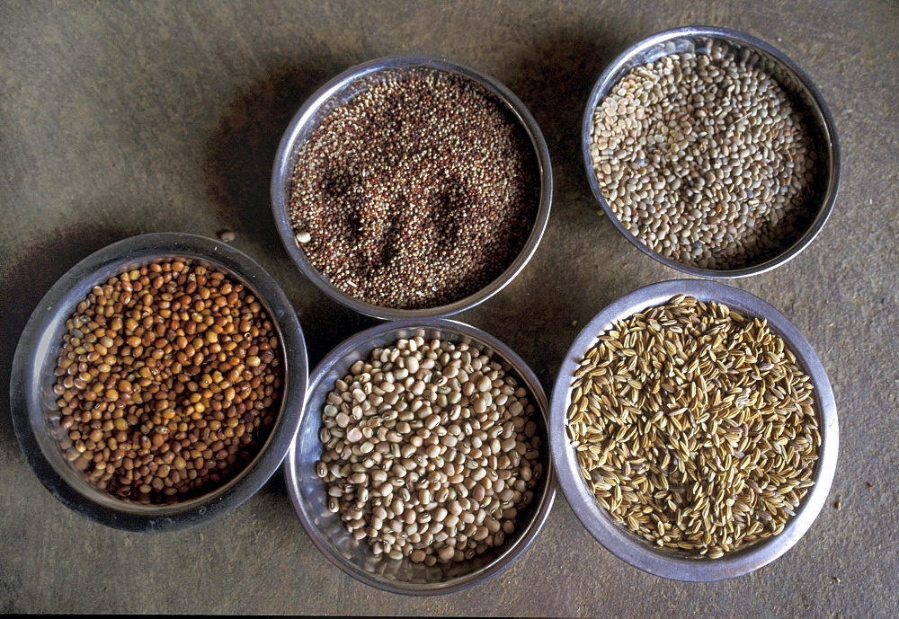 India traditional seeds of horse, red, cow, and finger millet. Alaganahalli village, kolar, karnataka