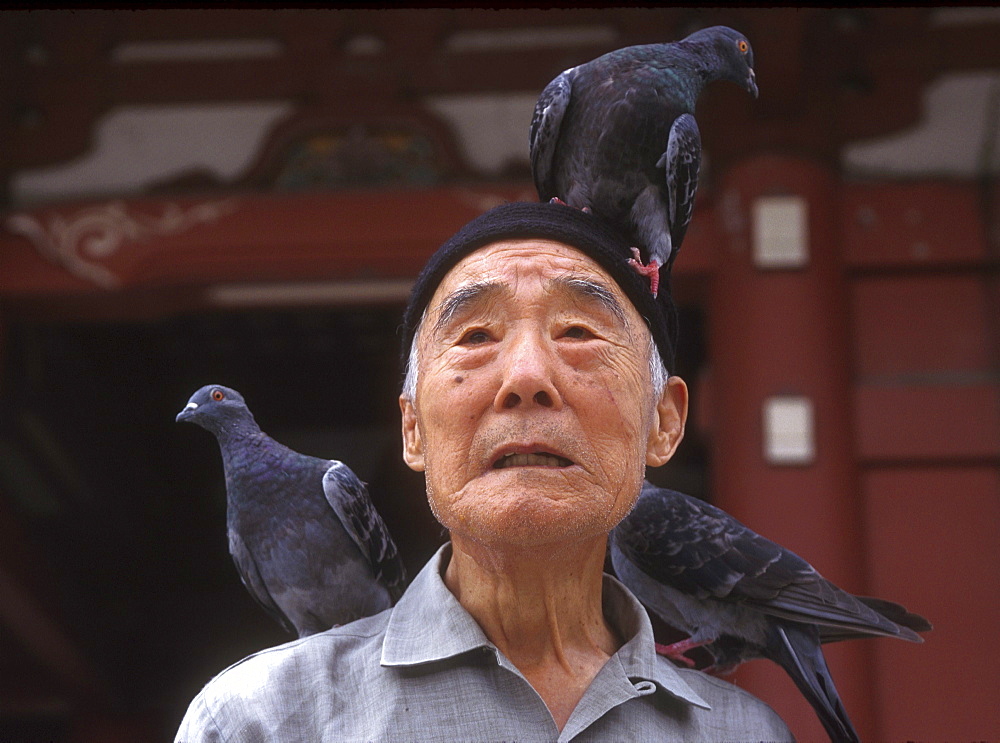 Japan man pigeons askakusa tmple, tokyo