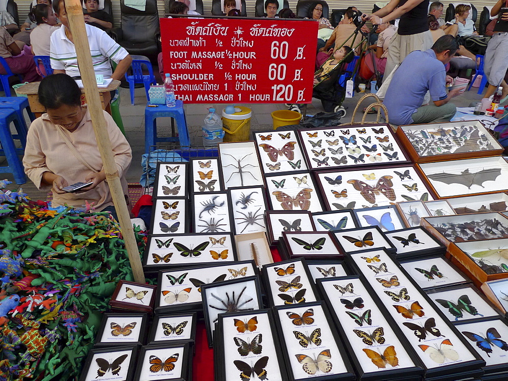 THAILAND Chiang Mai. Stall selling insects and spiders in glass cases. Photo by Sean Sprague