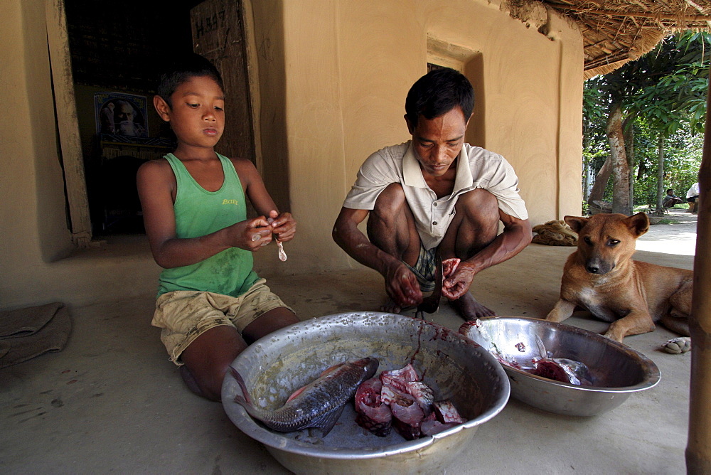 Bangladesh farid pathang and son homar of the garo tribal minority, clean fish ready for cooking, haluaghat, mymensingh region