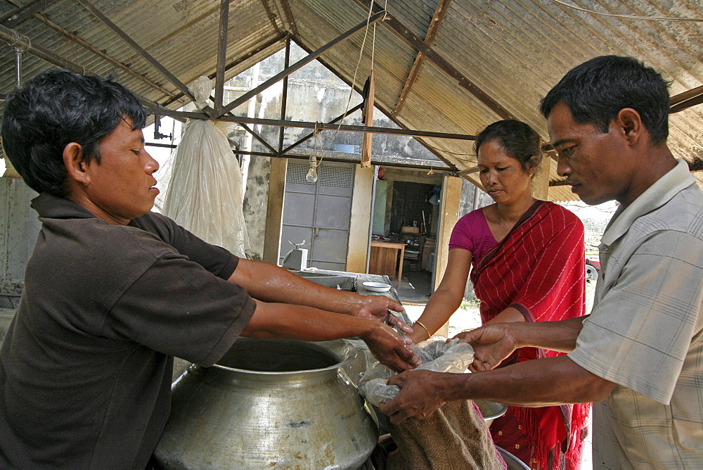 Bangladesh family buying fish fingedrlings for stocking the pond on the farm, at a hatchery in haluaghat, mymensingh region. They are members of the garo tribal minority