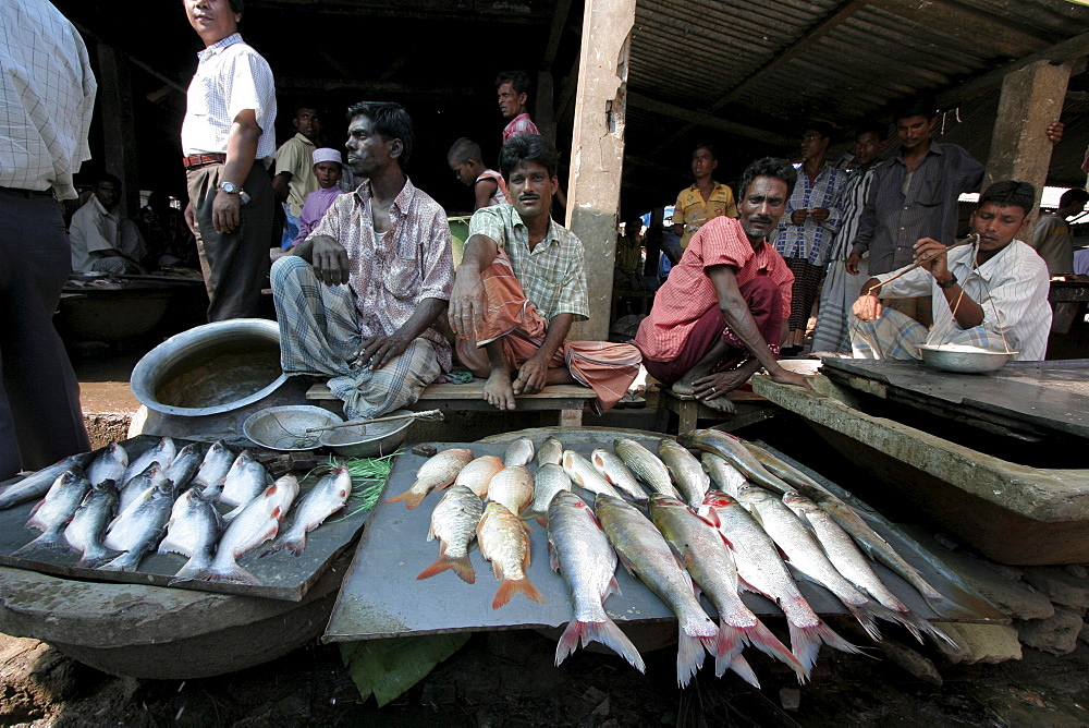 Bangladesh fish on sale at market at haluaghat, mymensingh region