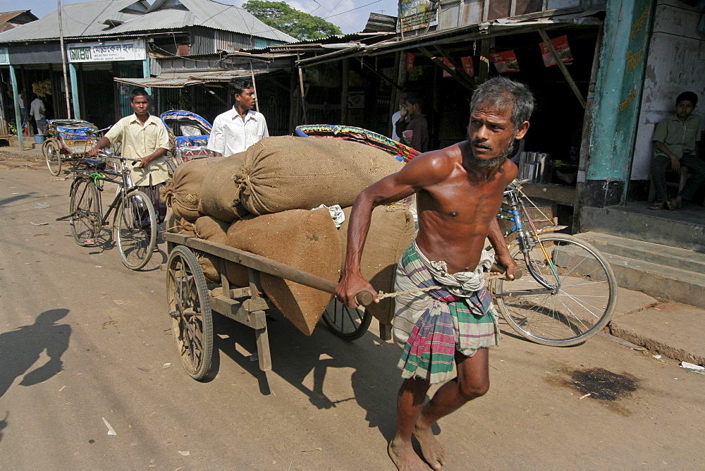 Bangladesh man hauling a heavy load. Market at haluaghat, mymensingh region