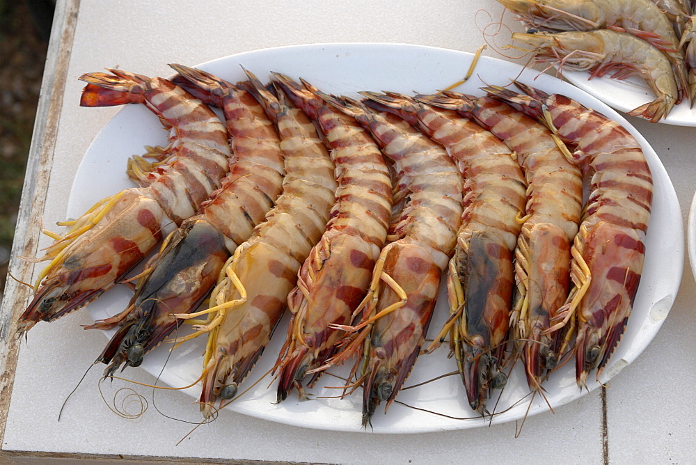 India tiger prawns. Varkala beach resort, kerala.