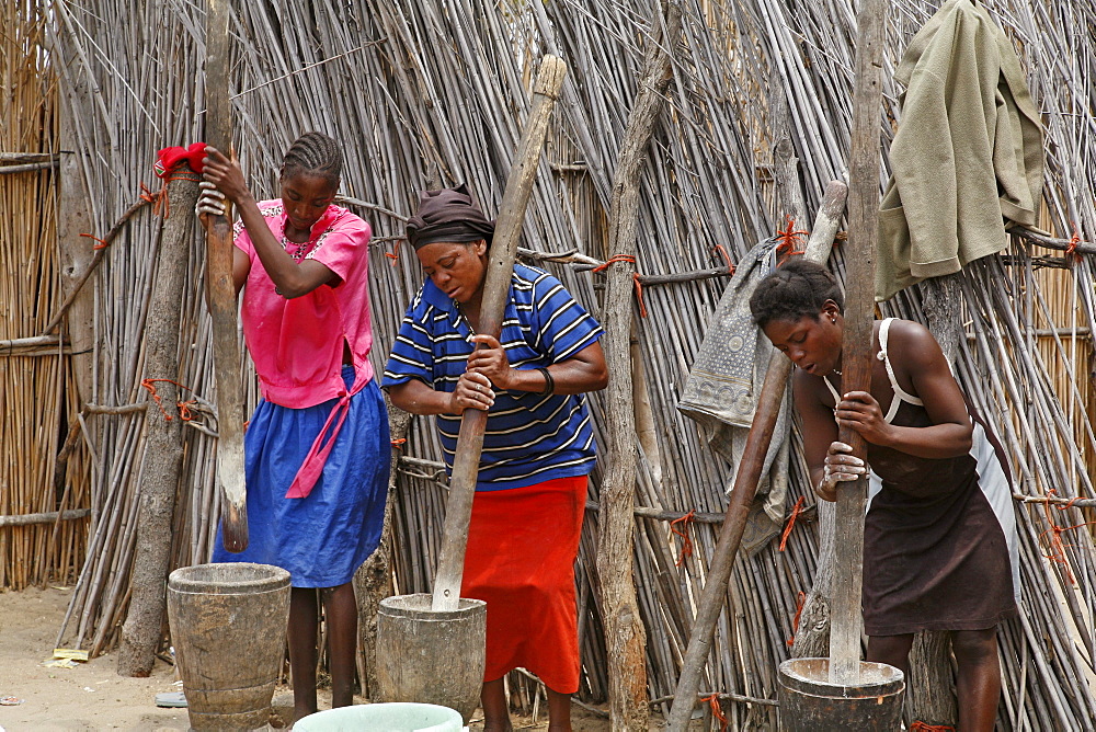 Namibia women preparing food by pounding grain. Nyangana, a small village mission station in north of country on angolan border