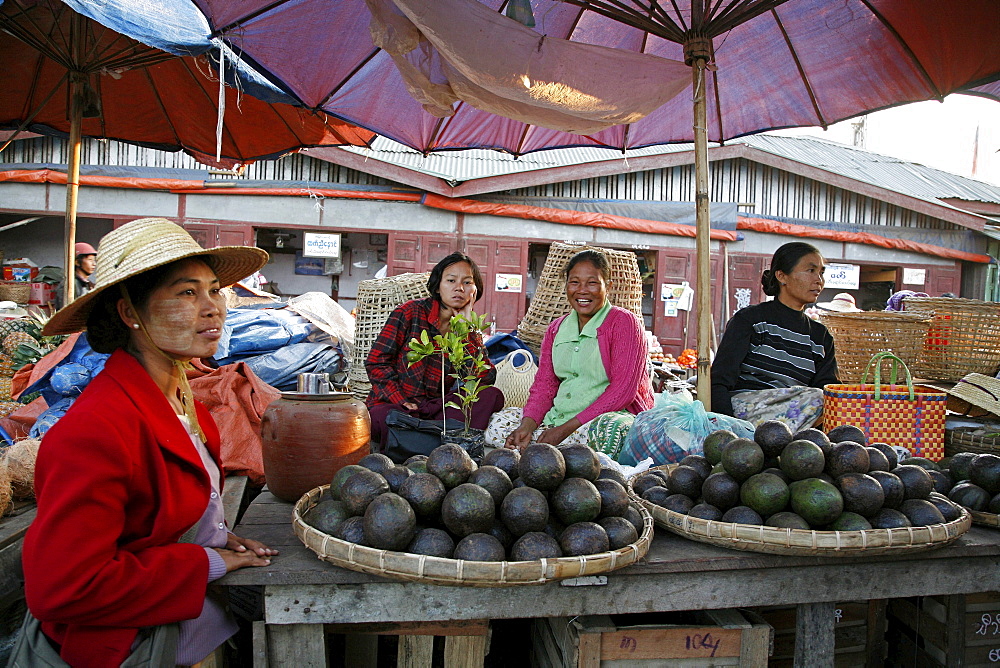 Myanmar avocado seller in market at myitkyina, a largely kachin community in north burma near chinese border 