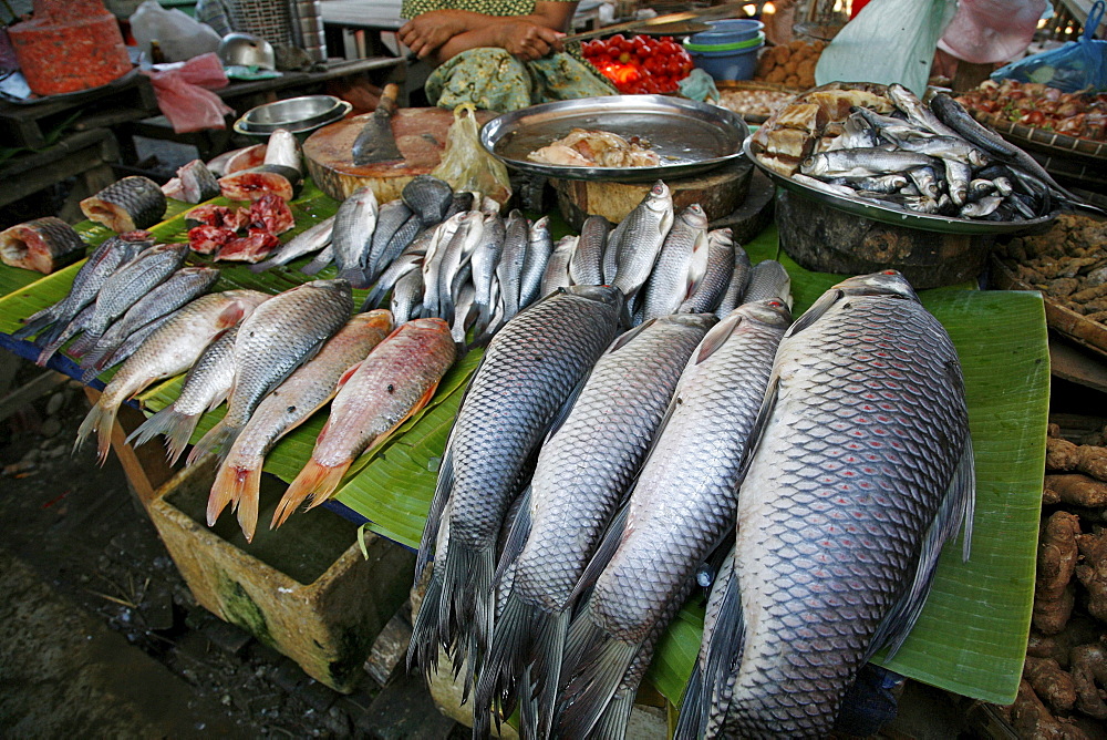 Myanmar fish sale in market at myitkyina, a largely kachin community in north burma near chinese border 