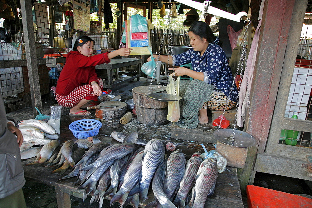 Myanmar woman selling fish in market at myitkyina, a largely kachin community in north burma near chinese border 