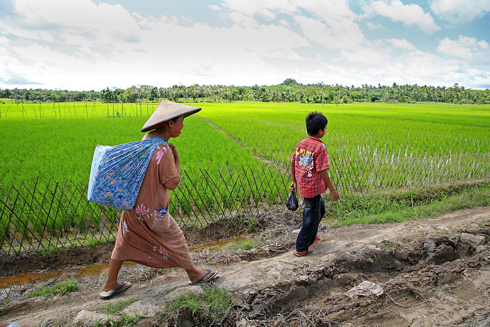 Indonesia sunda, west java