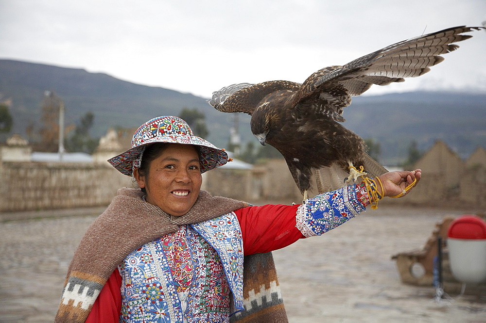 Peru. Woman with eagle, yanque, colca canyon