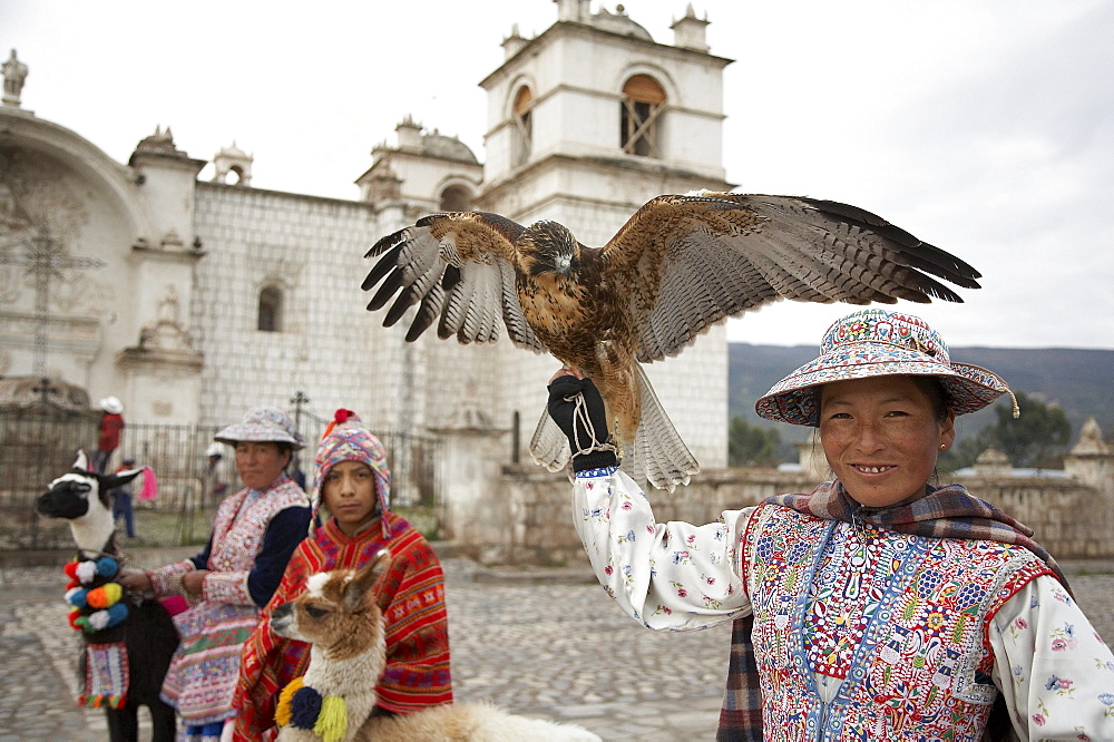 Peru. Woman with eagle, yanque, colca canyon