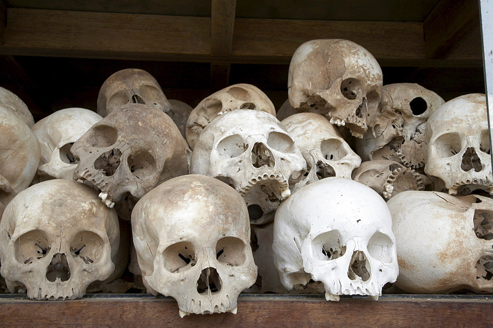 Cambodia the killing fields national memorial, phnom penh. skulls of victims killed by khmer rouge