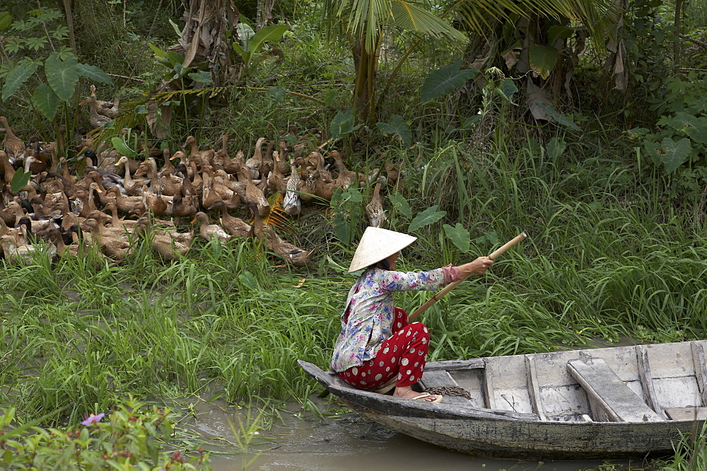 Vietnam scene in vinh long: woman paddling boat on backwaters