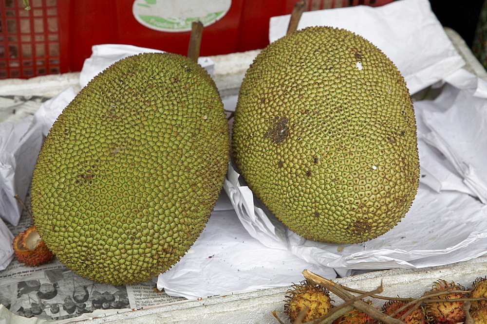 Vietnam saigon fruit market. name: jackfruit other names: jak, jaca, phanas botanical name: artocarpus heterophyllu