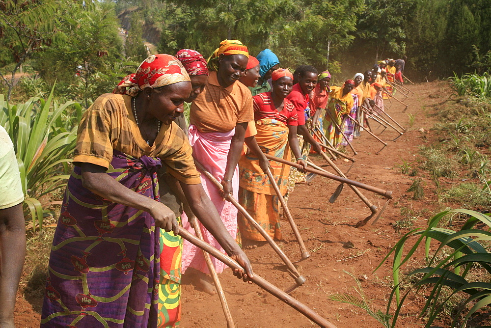 Burundi agakura, a youth agricultural project in gitera. Group of farmers who are associated with agakura doing communal work on farmland.