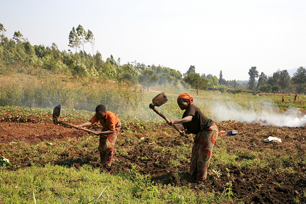 Burundi farmers of gitega.