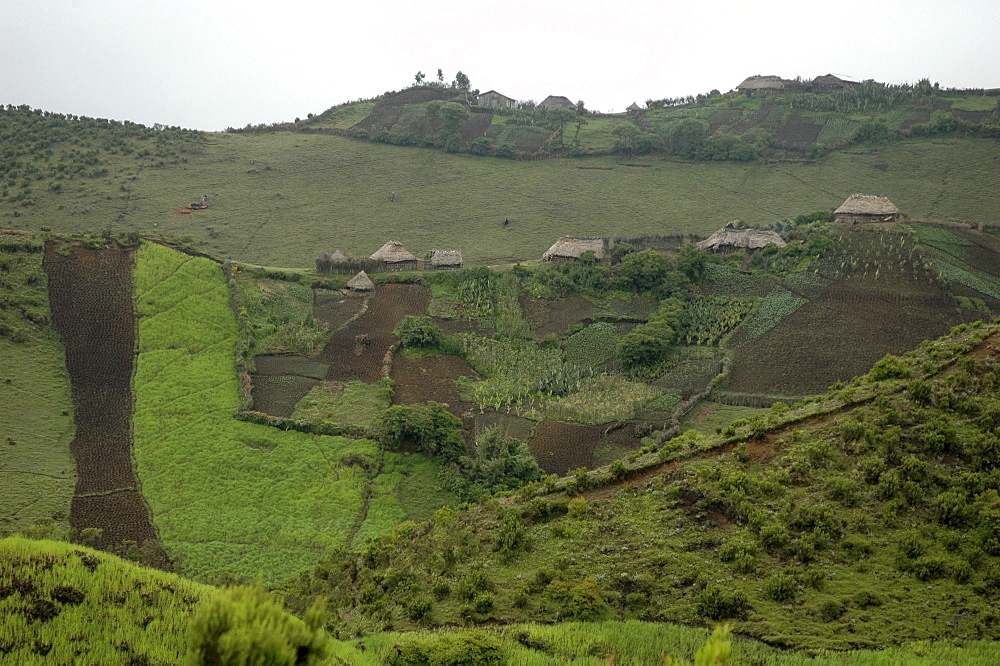 Agricultural landscape, ethiopia. Wenchi lake and extinct volcanic crater, ambo. Very steep hillside cultivated without use of terraces