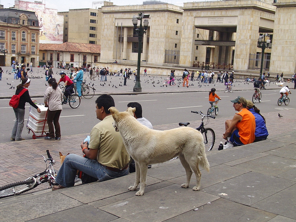 Colombia sunday in la candelaria, bogota, when the streets are closed to motor traffic and opened for cyclists until 2 pm