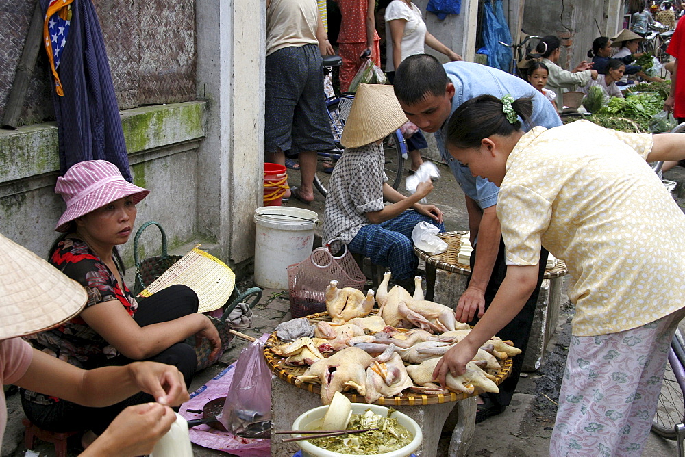 Vietnam woman selling chickens, hanoi