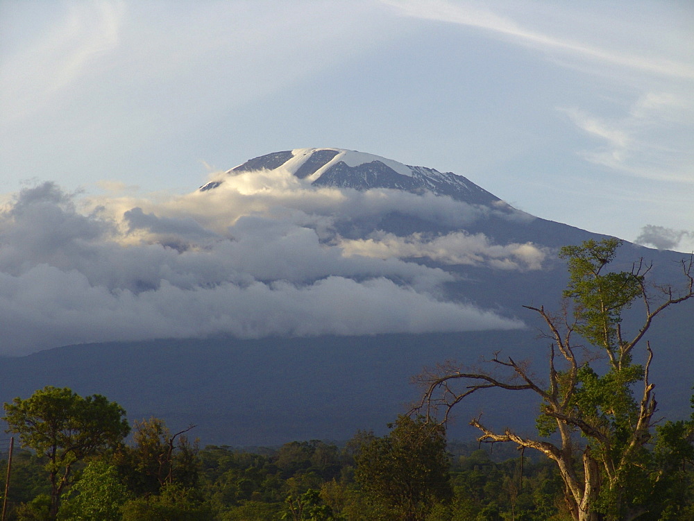 Tanzanian mount kilimanjaro in the clouds, viewed from arusha