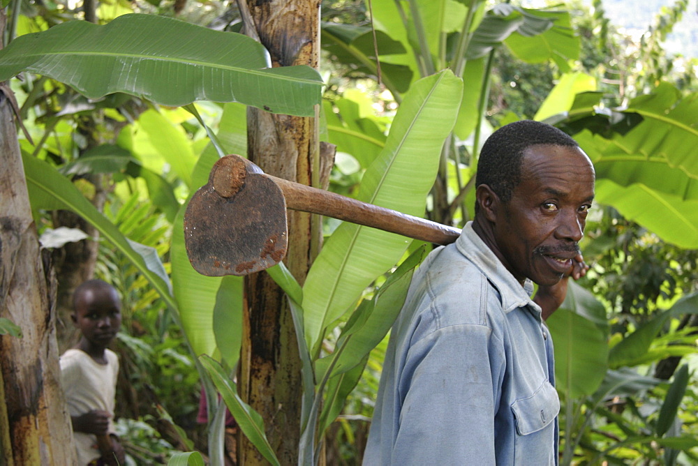 Tanzanian man carrying hoe as he walks to his fields to start cultivating bananas and other crops, mvango village, same, in the north-east near kilimanjaro