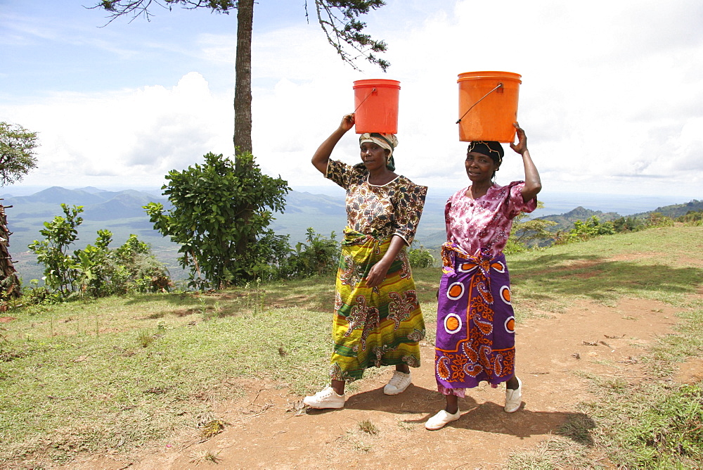 Tanzanian women carrying buckets of water. Kighare, same, in the north-east near kilimanjaro