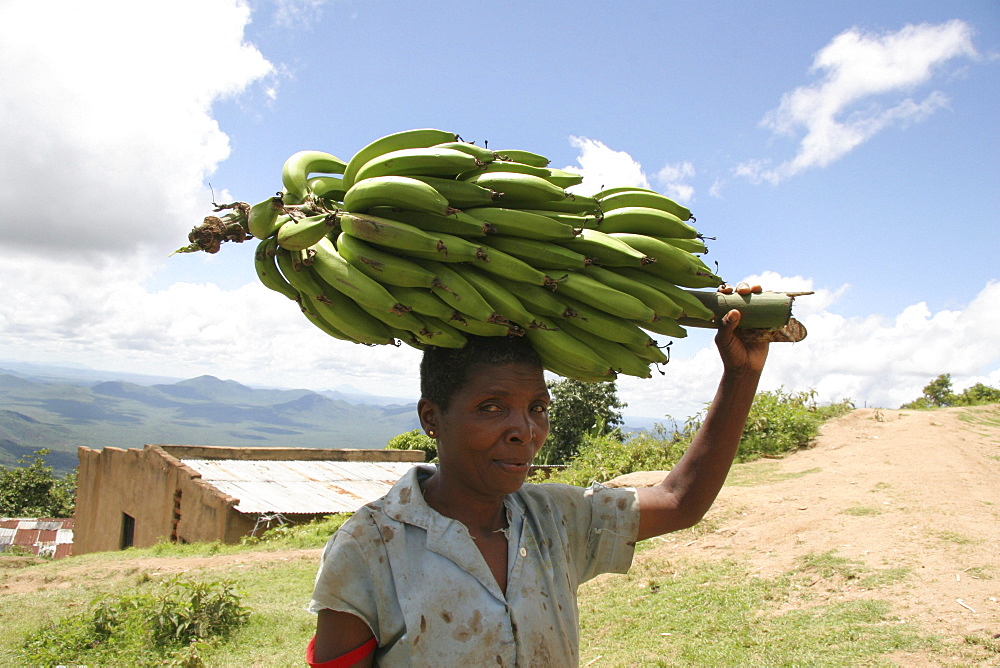 Tanzanian woman carrying bananas, kighare, same, in the north-east near kilimanjaro