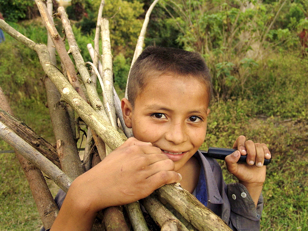 Honduras boy collecting firewood banadero, near danli