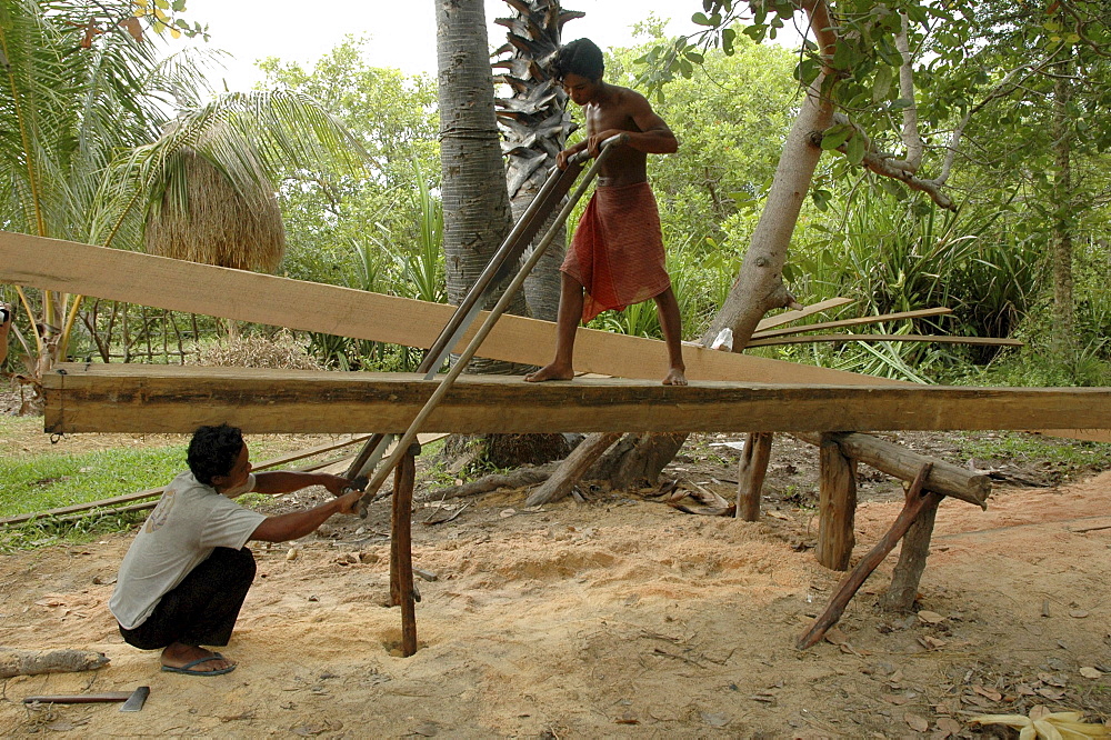 Cambodia sawing planks by hand. Kampong thom