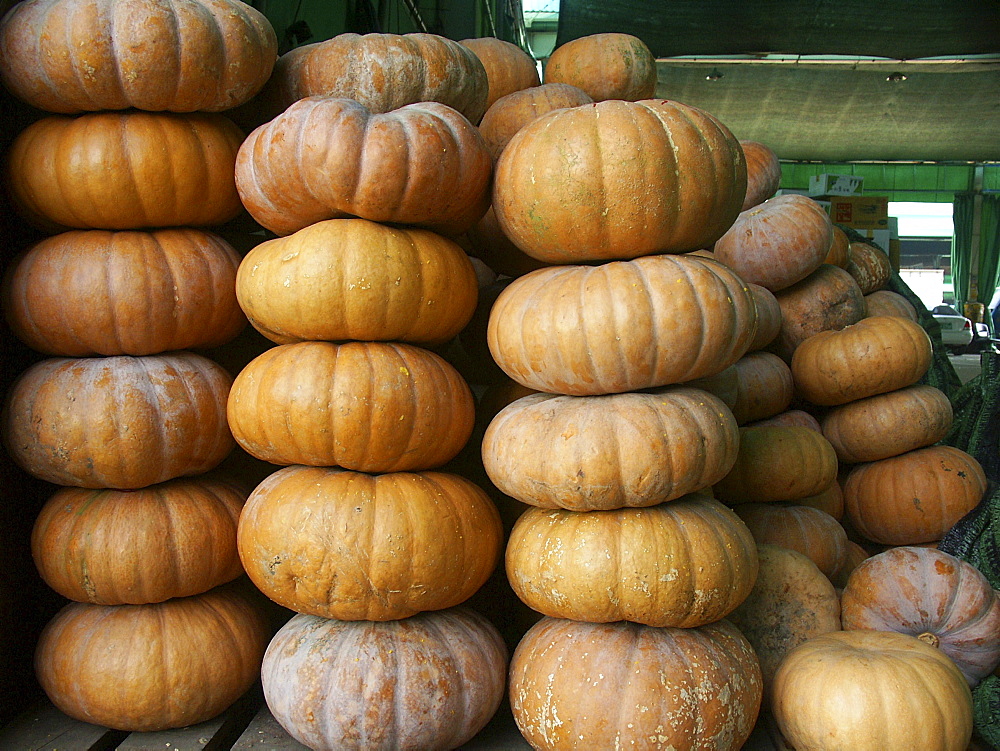 Korea - pumpkins on sale at karakan wholesale food market, seoul