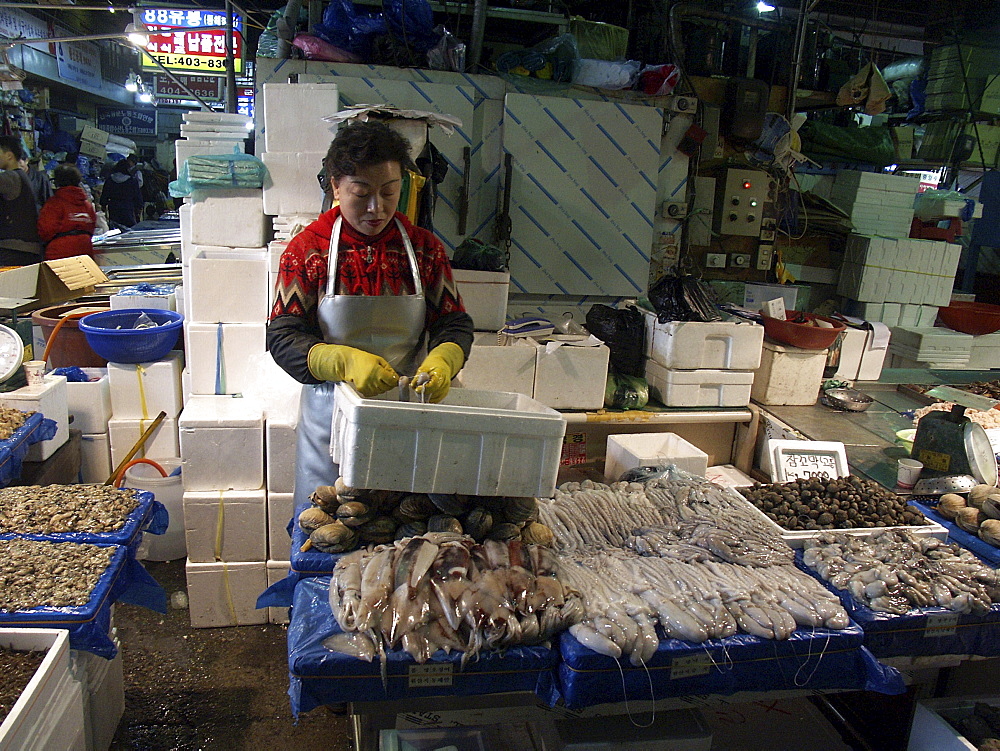 Korea - fish & squid on sale at karakan wholesale food market, seoul