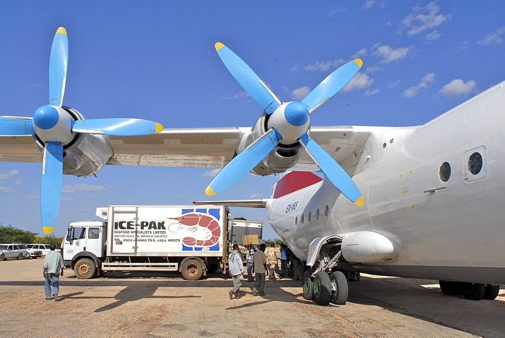 Galcaio airport, lobsters trade coming fromt the somalian coast, main source of income for many somali fishermen