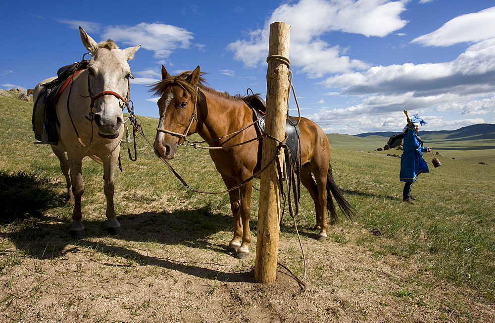 Horse milk is sprinkled into the four directions, as offerings to the nature spirits of the area, the sadak, or ?owners Of the earth.? Sometimes vodka is used instead, or as well. Milk is sacred to the mongol shamans, who believe that life on earth is descended from beings who originally came here on winged horses. Here two young female shamans make the offering in a ritual manner. Countryside mongols make this offering every morning on waking up; they usually also offer smoke, that the wind carries around the world as a prayer for harmony and prosperity. 13th century national park, tov province, mongolia. 13th century national park comprises chinggis khan's giant statue museum and live museum "town from 13 century". The ancient nomadic mini kingdom is located in the distance of 130 km east of ulaanbaatar in area of erdene zuu of tov province. It takes 2 hours driving on paved road. In the live 13th century kingdom one will see and experience the authentic lifestyle of mongols, who were lived in powerful mongol empire?s Period. This place gives you a same feeling that famous traveler marco polo and william rubruck felt once upon time