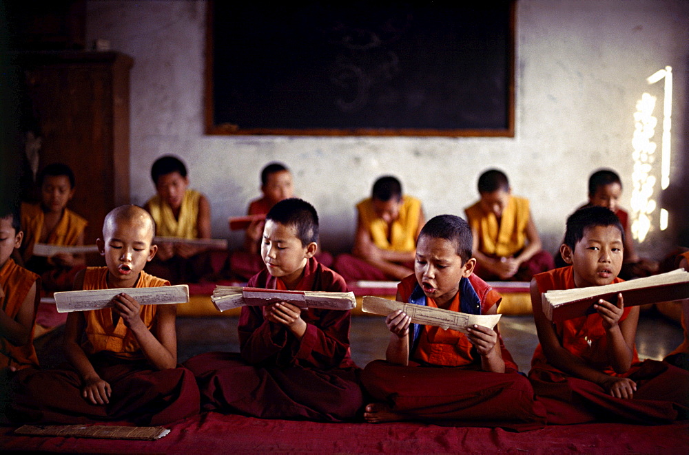 Young monks reciting text clementown, india