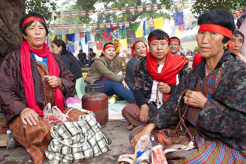 Bhutanese pilgrims meditate under bodhi tree. It is believed that gautam buddha attained unsurpassed, supreme enlightenment under this bodhi tree. Kalachakra initiation in bodhgaya, india  