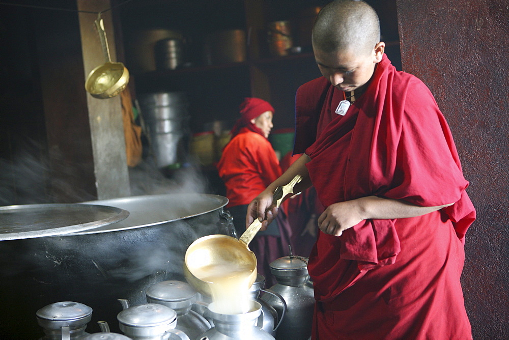 Thupten choeling nuns prepare butter-salt tea at nunnery-kitchen. solu khumbu, nepal