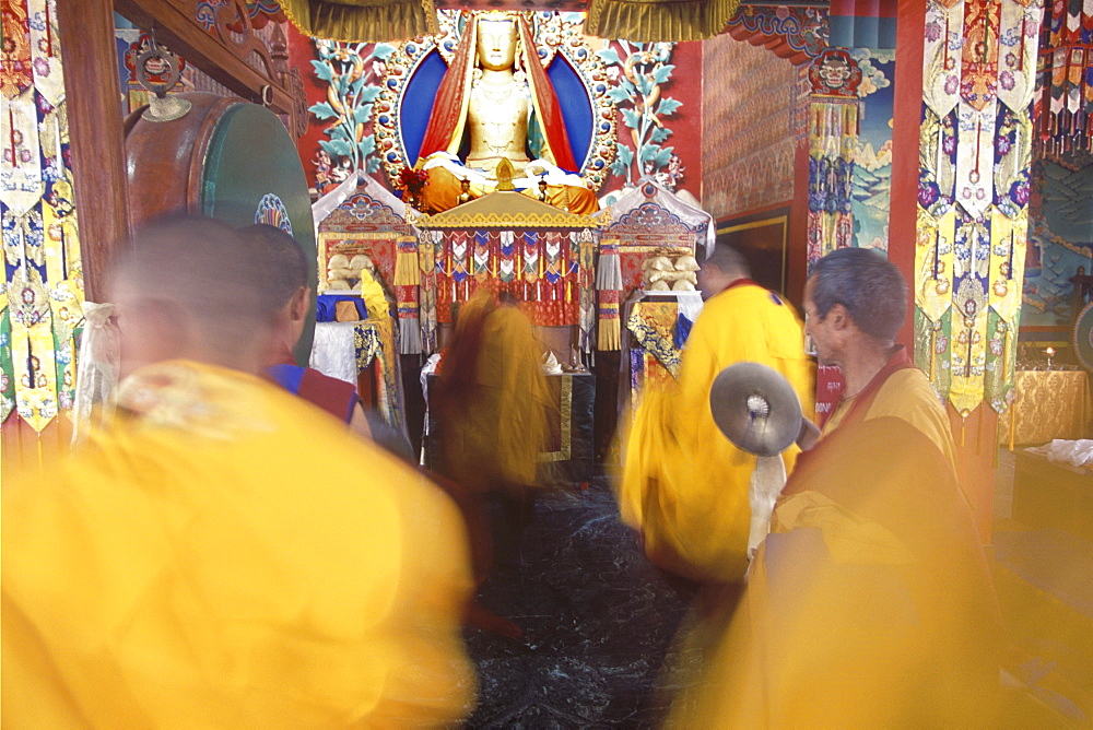 Nepal. Triten norbutse. Rigorous debate is a critical activity lamas at triten norbutse monastery. Through this method we begin to know meaning of texts with greater precision