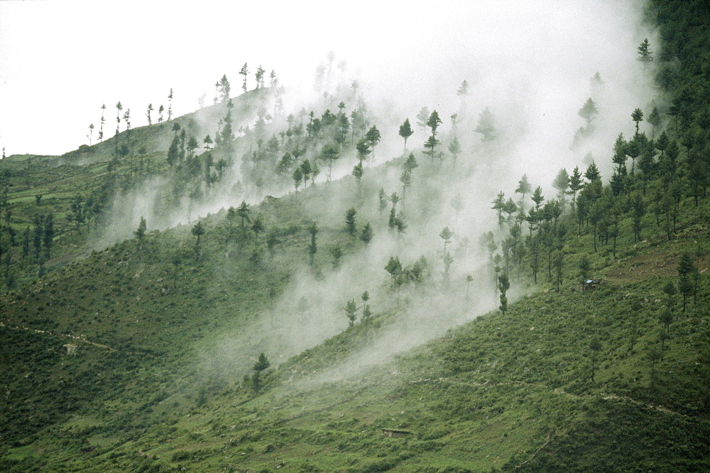 Deforestation. Nepal 