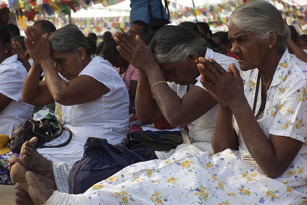 Devotion. Buddhist pilgrims from various denominations pray under bodhi tree in front of the mayadevi temple. Lumbini, nepal