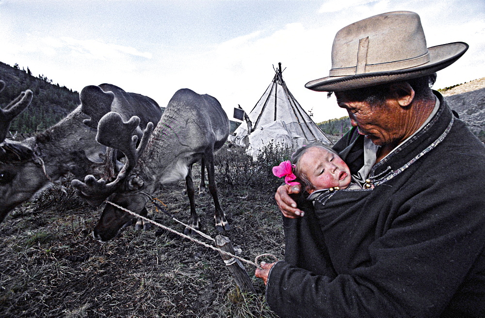 These reindeer peoples' entire existence is based around their herds of reindeer, which provide milk, skins for clothes, horn for carving and medicine, transport and occasionally, meat. the tsaatan are part of the tuvan ethnic group, which inhabits the tuvan republic of russia. there are only about 200 tsaatan in total, spread over 100,000 sq km of northern mongolia. they are nomadic, often moving their small encampments every three to four weeks, searching for special types of grass and moss loved by the reindeer. the tsaatan are strong practitioners of shamanism. west taiga, northern mongolia